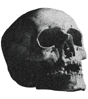 CTF Skull